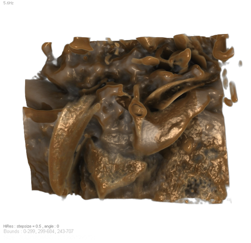 myimage5